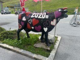 jerzens juni--075
